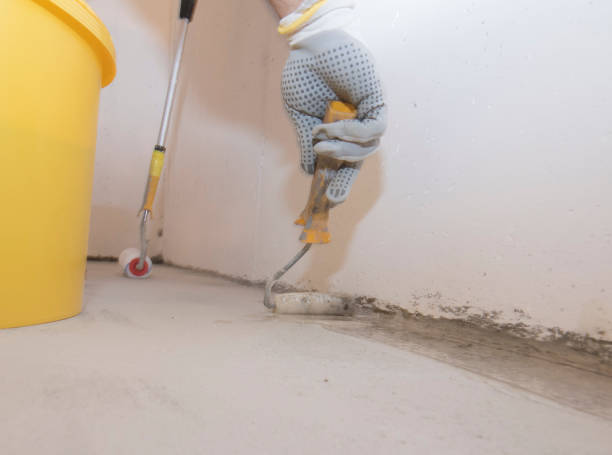 Best Pest Control for Multi-Family Homes  in Wmette, IL